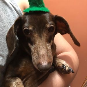 Meet your Posher, Betti